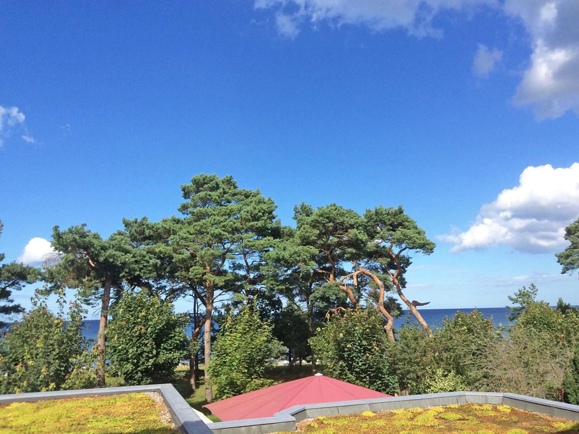 Villa Freia F 404 WG 11 mit direktem Meerblick und Balkon Ostseebad Ostseebad Binz Exterior foto